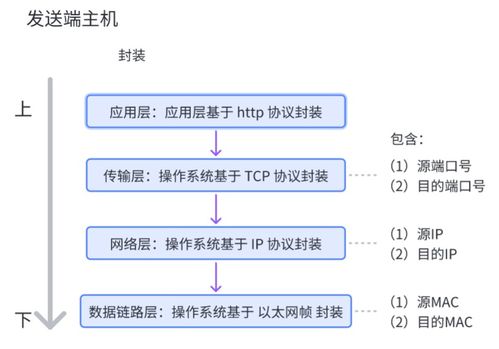 網(wǎng)絡通信基石 核心設(shè)備、關(guān)鍵技術(shù)及技術(shù)服務全景解析